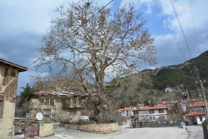 mudurnu hacışakirler konağı yanında.jpg